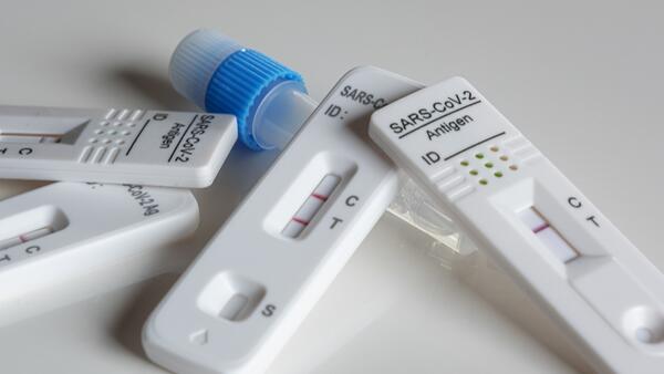 Bild vergrößern: Antigen-Schnelltest