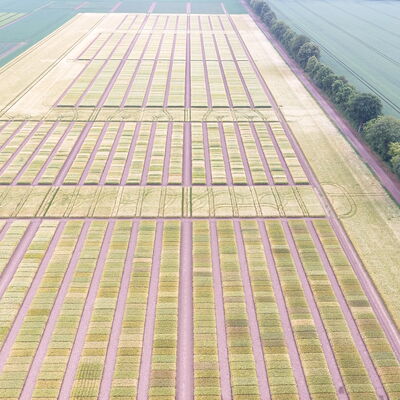 Bild vergrößern: Breun Feld Luftbild 2