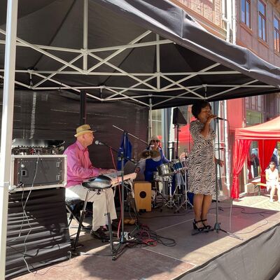 S&auml;ngerin_Sommerfest in der Steinbr&uuml;cke