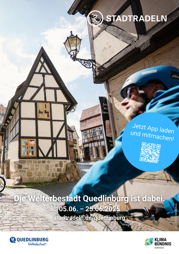 Bild vergrößern: Stadtradeln Poster Grafik 2