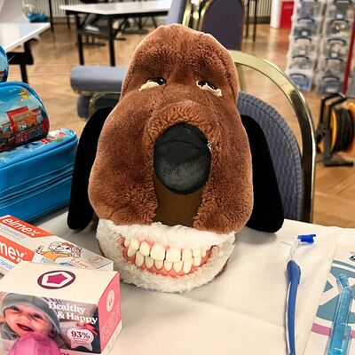 Bild vergr&ouml;&szlig;ern: Aussteller aus Gesundheit, Pflege und Zahngesundheit pr�sentierten sich