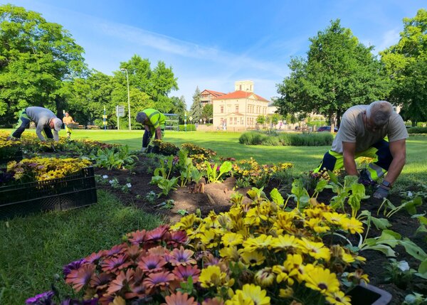 Bild vergr&ouml;&szlig;ern: Sommerbeflanzung 2026 - Bauhof im Einsatz