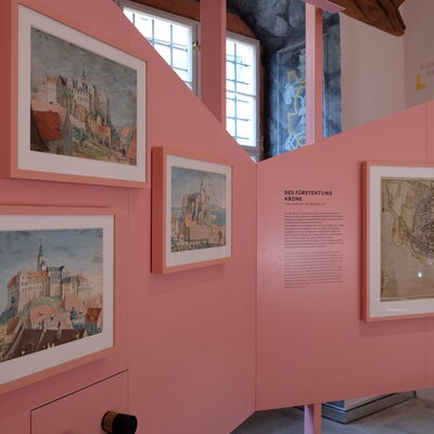Bild vergr&ouml;&szlig;ern: Individuell gestaltete Ausstellungsm�bel